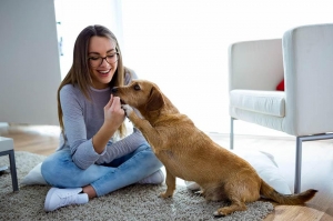 Errores recurrentes al alimentar a tu perro