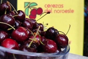 Cerezas, el fruto protagonista del verano