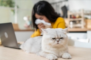 ¡Festeja el Día del Gato con ronroneos y una respiración mejorada!