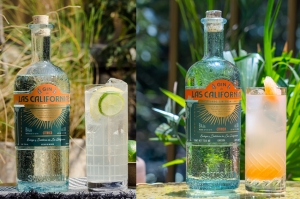 Brinda sin remordimientos: Recetas bajas en calorías con el Gin de Las Californias para iniciar el año