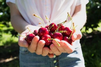 6 beneficios de las cerezas de verano que no conocías