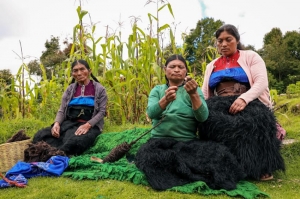 Mercado Libre impulsa por primera vez en México la promoción de productores de la biodiversidad con “Biomas de Latinoamérica a un clic”