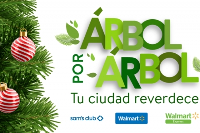 Dale una segunda vida a tu árbol: Walmart de México y Centroamérica abrirá 29 Centros de Acopio en la Ciudad de México